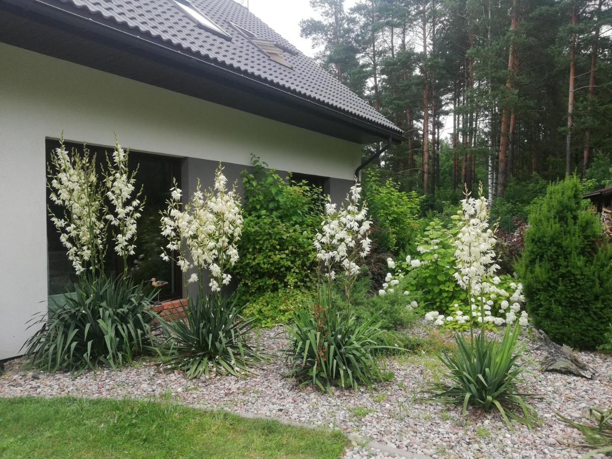 Cudodomek Spa W Mrozach Wielkich Kolo Elku Extérieur photo